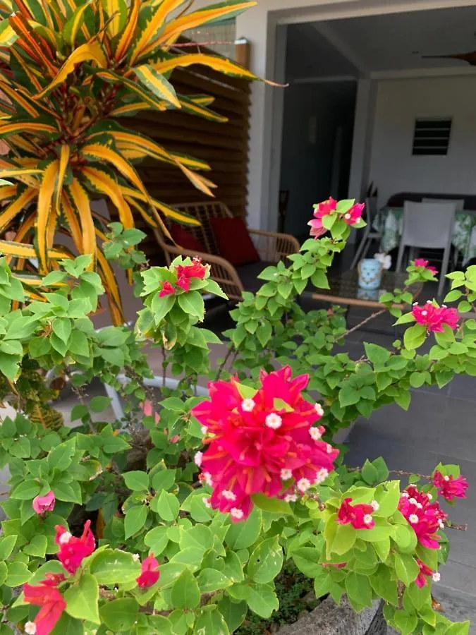 Le Tropical Appartement 1 Ou 2 Chambres Les Anses-d'Arlets